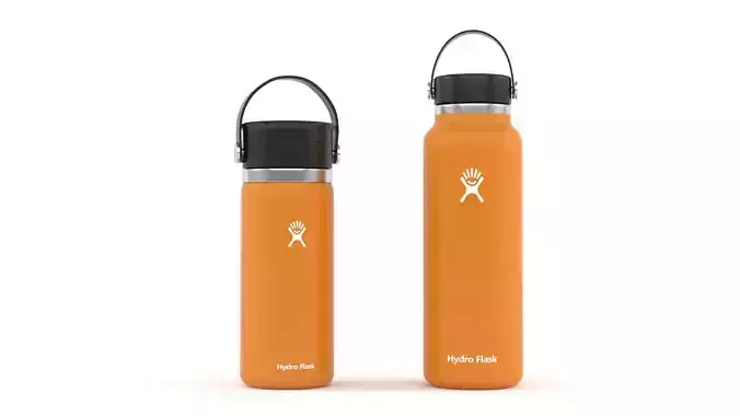 Water Bottle 3D model