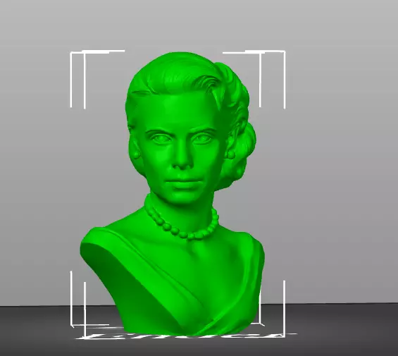Grace Kelly 3D print model_13
