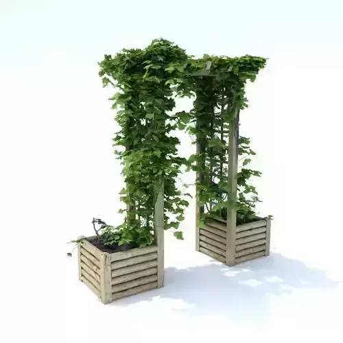 Pergola Arbor Arch Greenery Outdoors Wooden 3D model