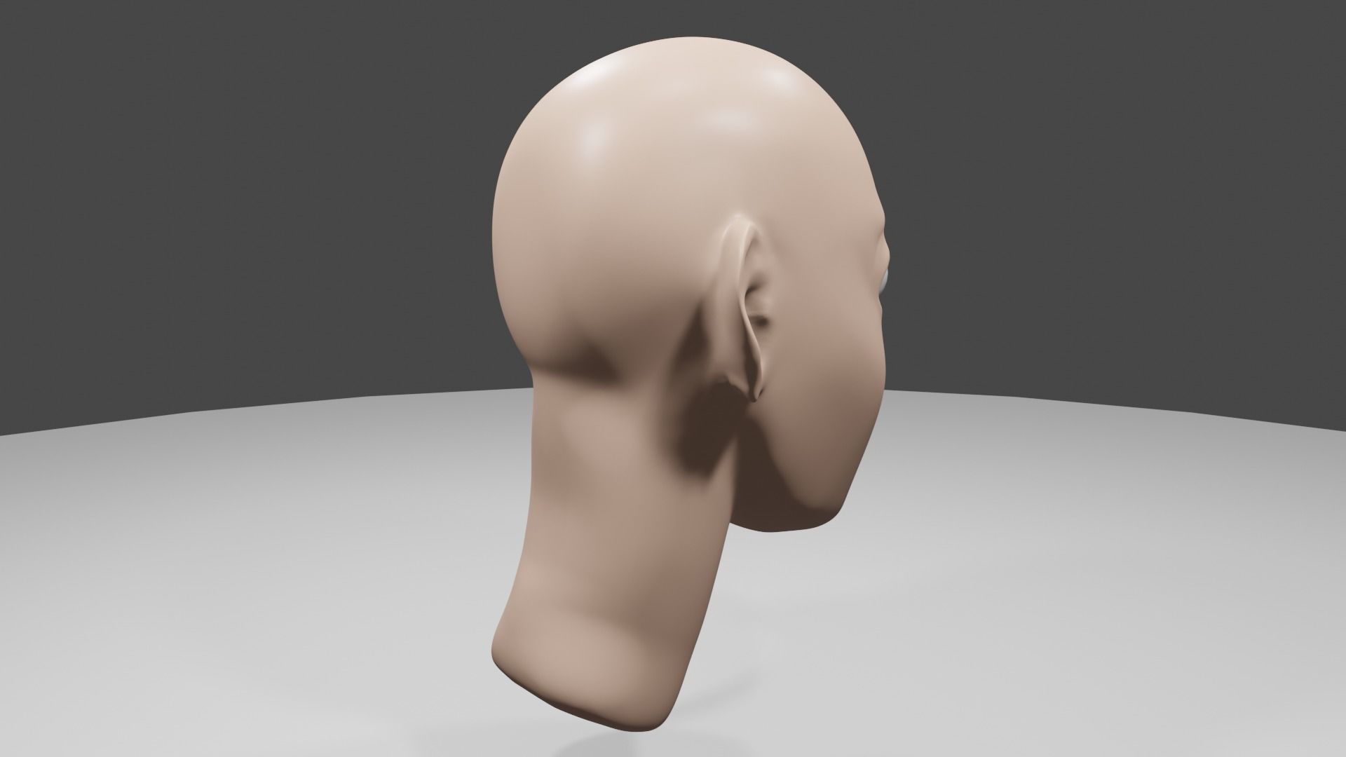 Human Head Free 3D model_3