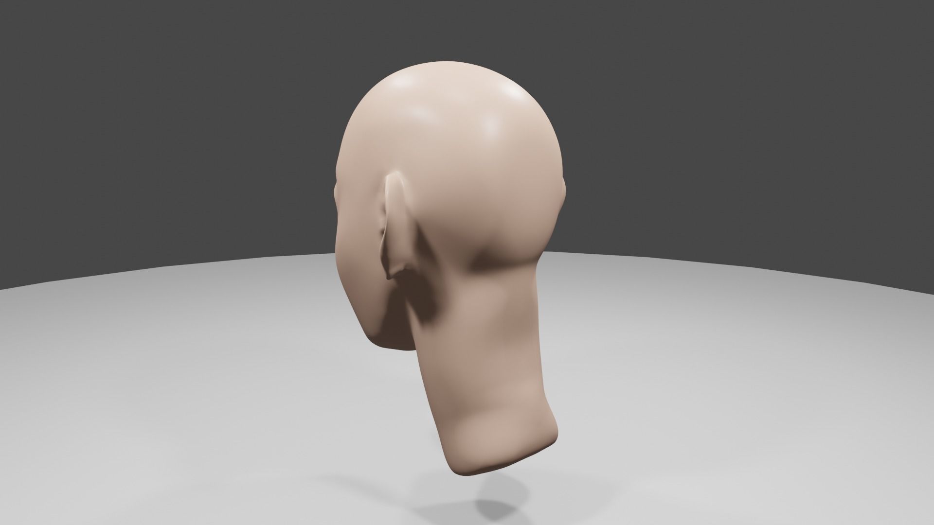 Human Head Free 3D model_2