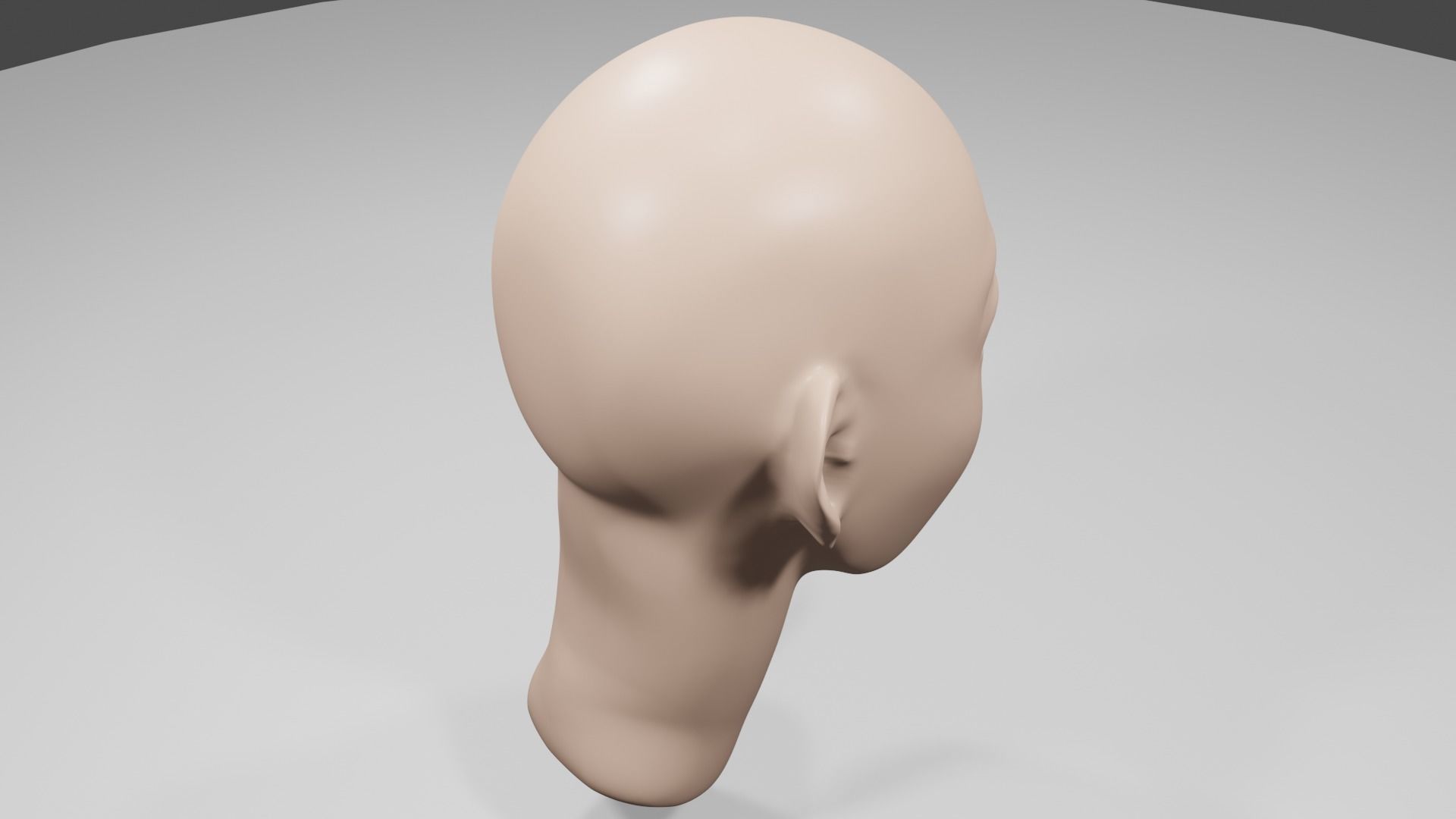 Human Head Free 3D model_8