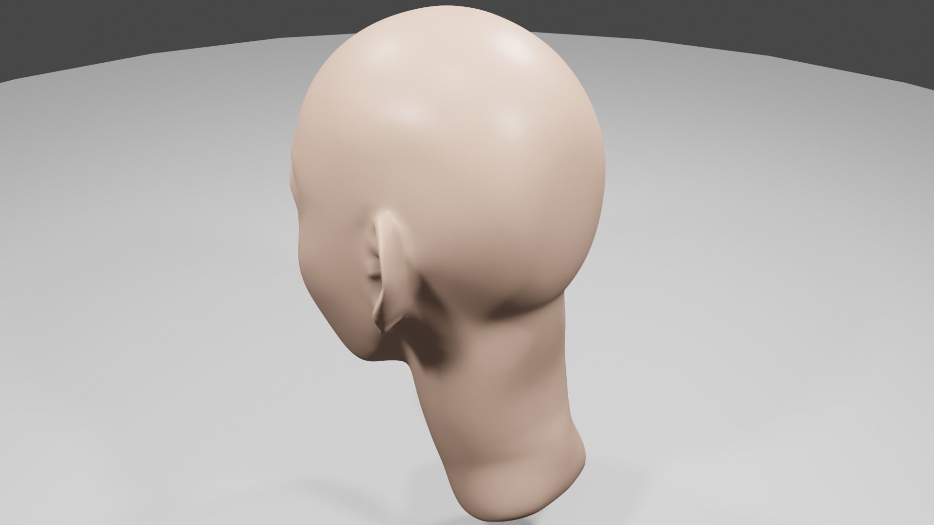 Human Head Free 3D model_7