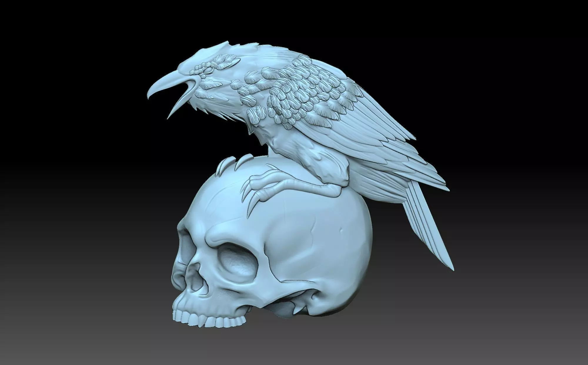 The raven and the skull 3D print model_0