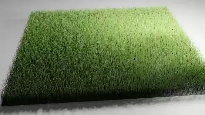 Realistic Grass 3D model