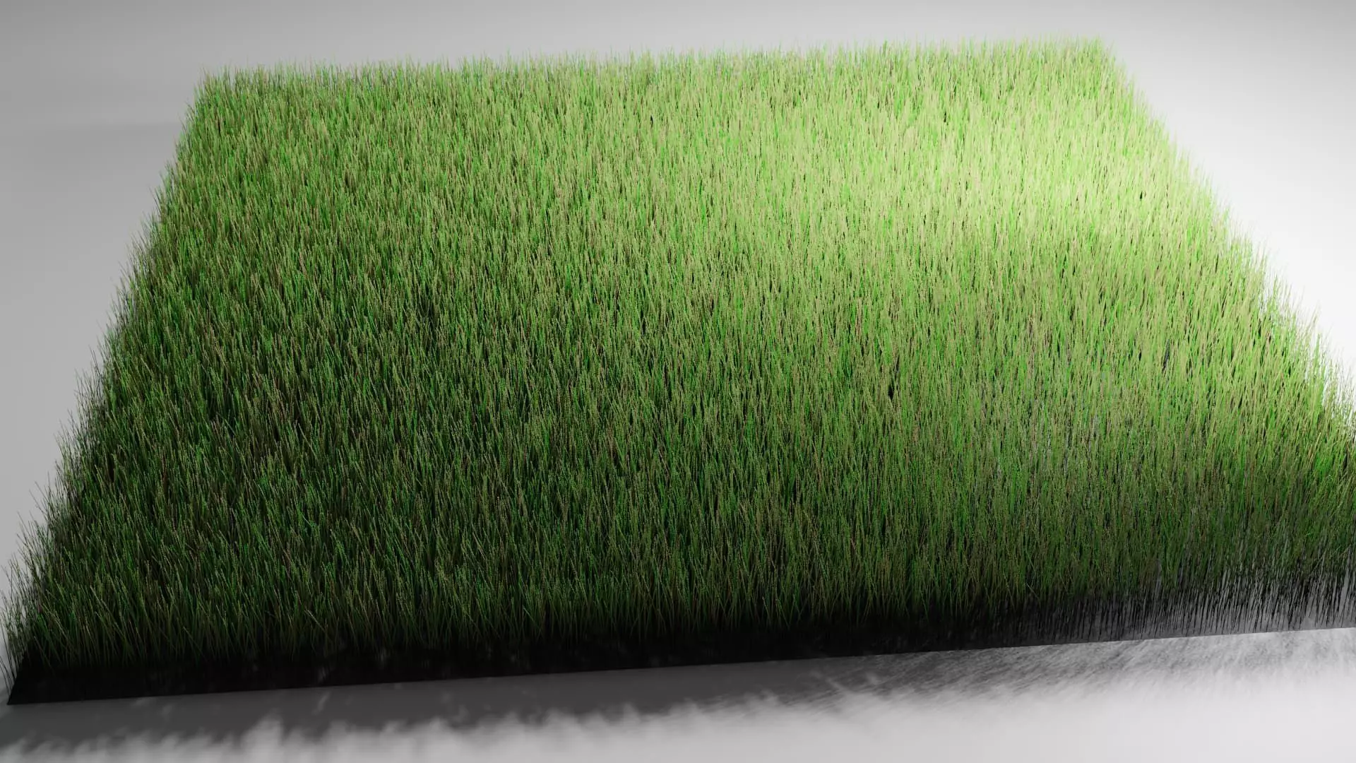 Realistic Grass 3D model 3D model_0