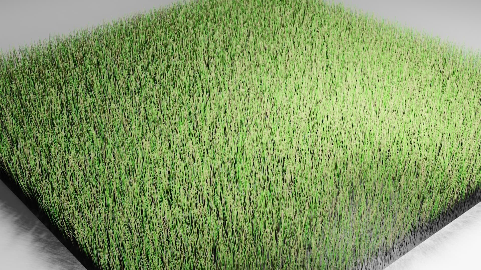 Realistic Grass 3D model 3D model_1