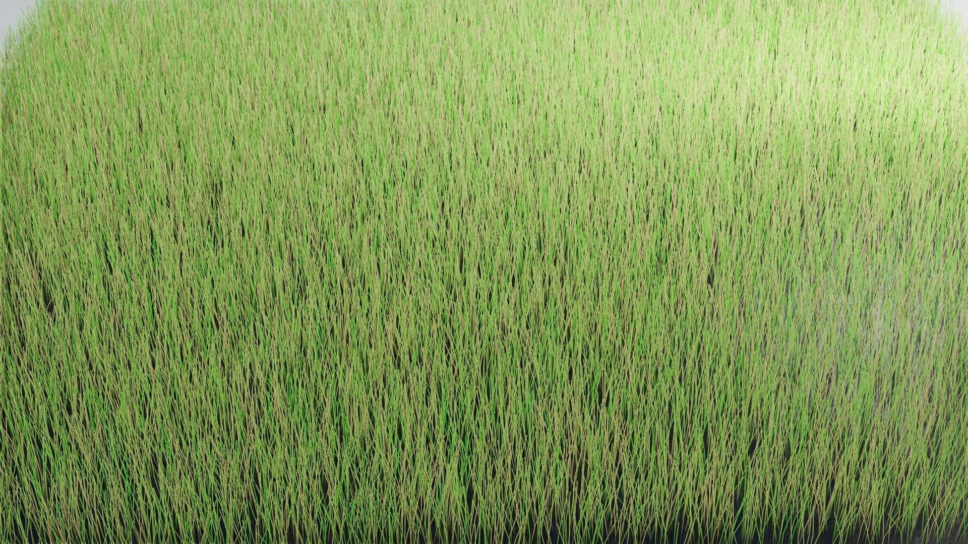 Realistic Grass 3D model 3D model_2