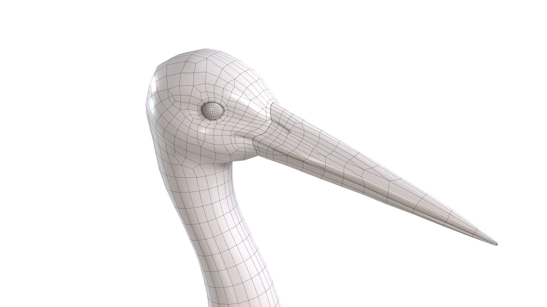 White Stork 3D model_7