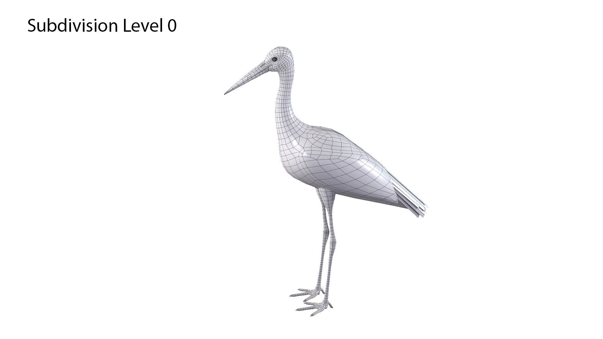 White Stork 3D model_10