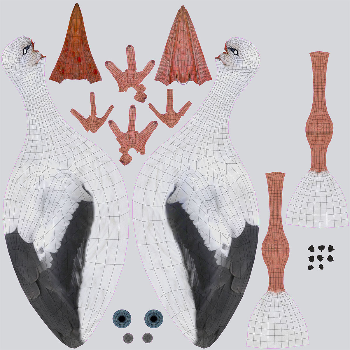 White Stork 3D model_12