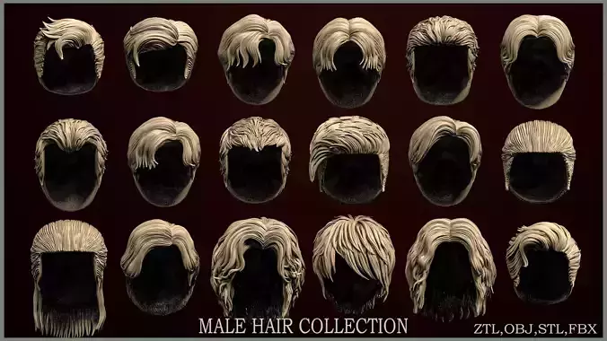 18 Male hair 3D model