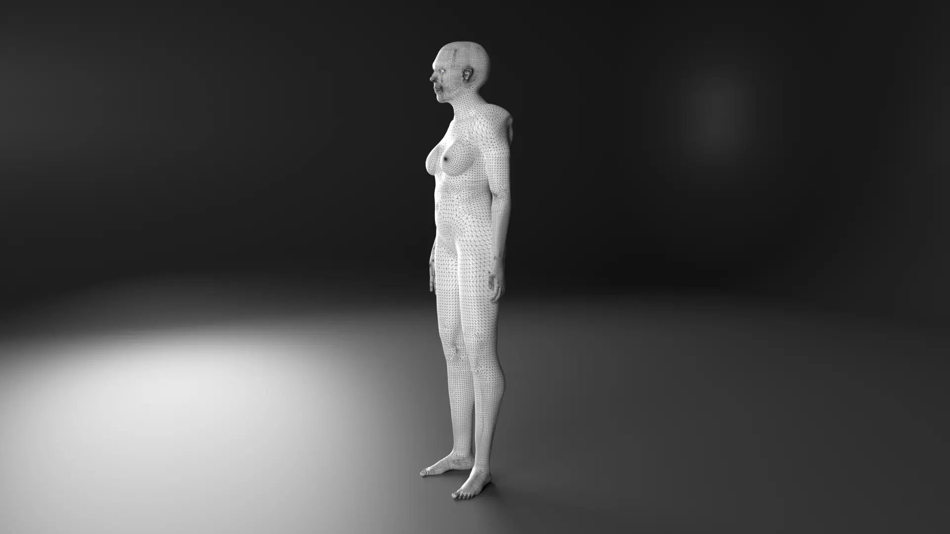 Woman basemesh Low-poly 3D model_0