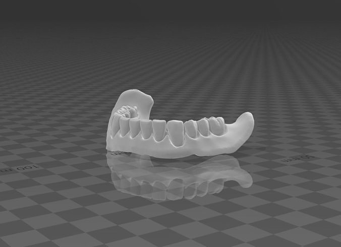 Tooth Free 3D model