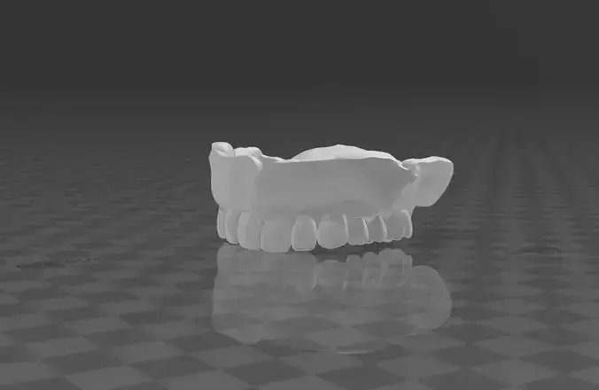 maxilla denture Free 3D model