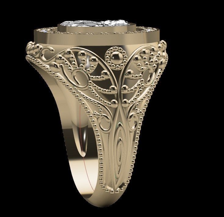 Ring od270 3D print model_12