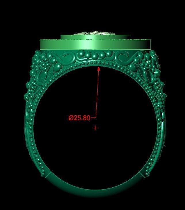 Ring od270 3D print model_9