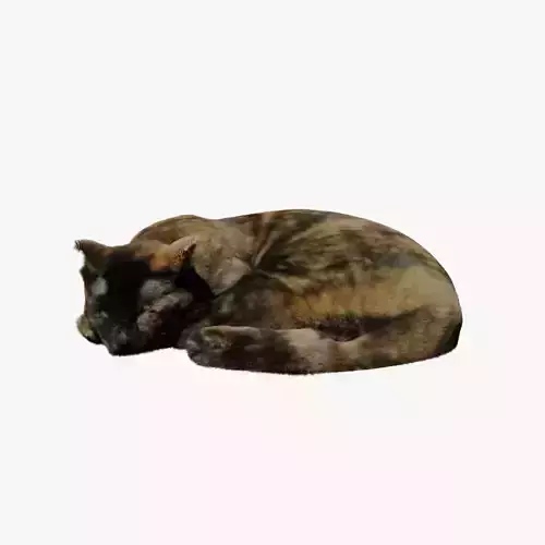 Realistic Breathing Cat Low-poly 3D model