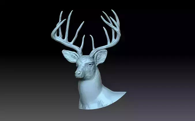 Deer head 3D print model