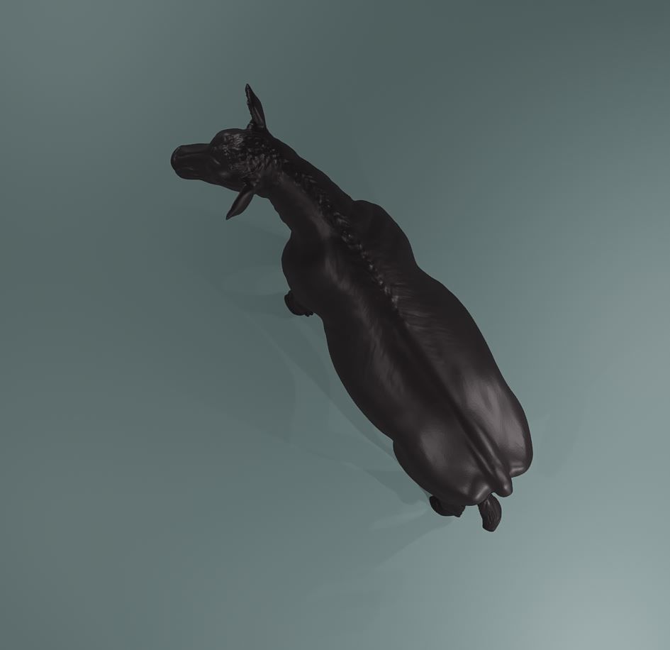 Young Cow Heifer model - Cattle for printing  high poly 3D print model_9