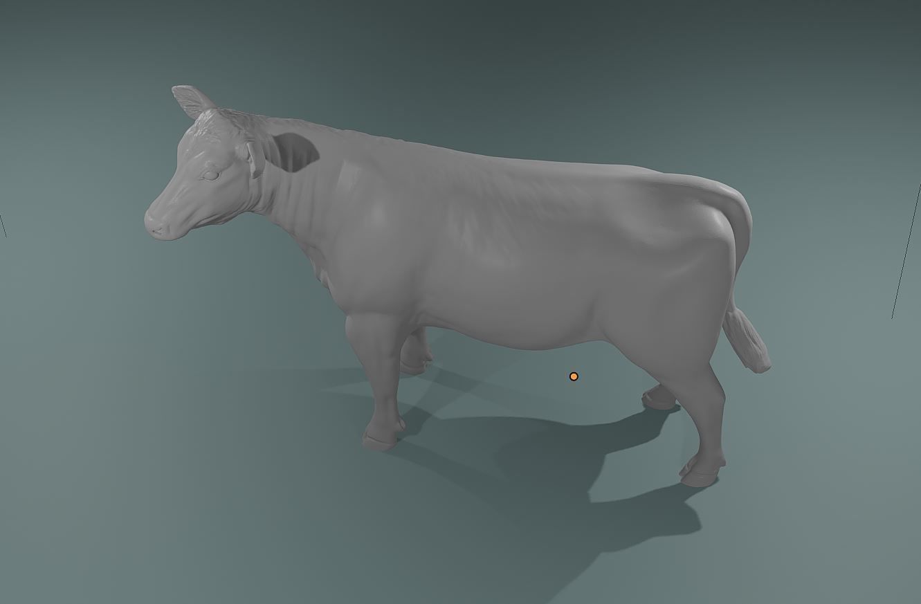 Young Cow Heifer model - Cattle for printing  high poly 3D print model_4