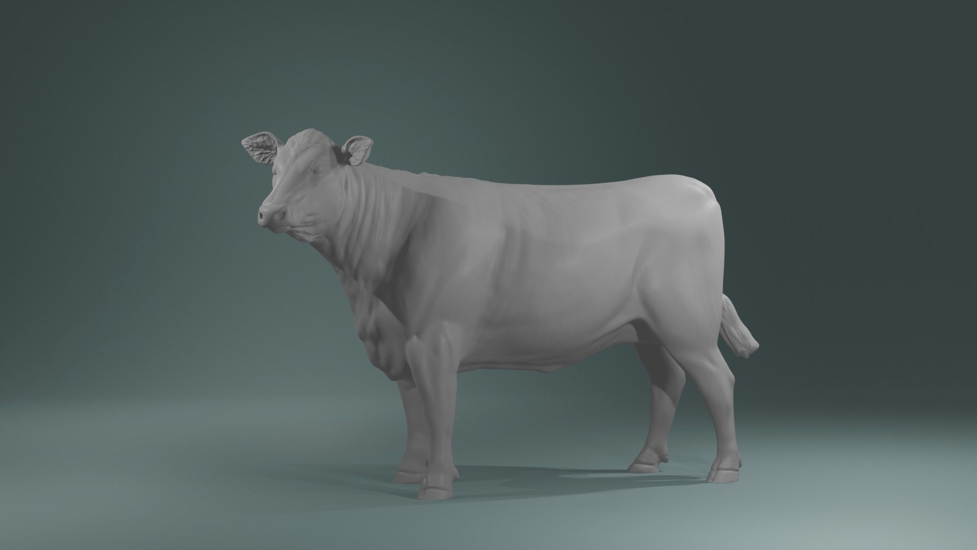 Young Cow Heifer model - Cattle for printing  high poly 3D print model_3