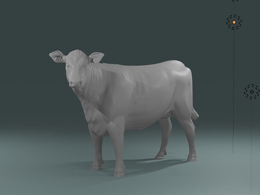 Young Cow Heifer model - Cattle for printing  high poly 3D print model_6