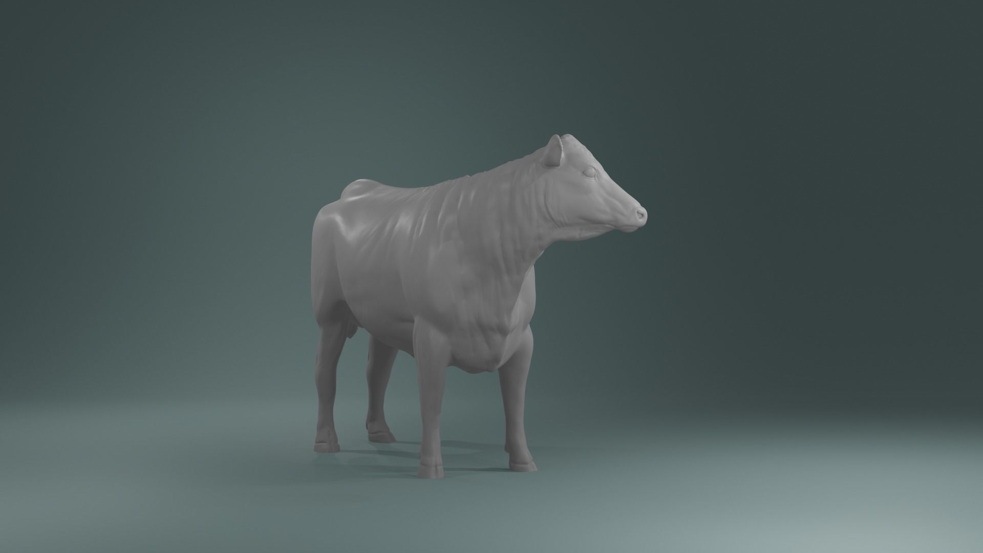 Young Cow Heifer model - Cattle for printing  high poly 3D print model_5