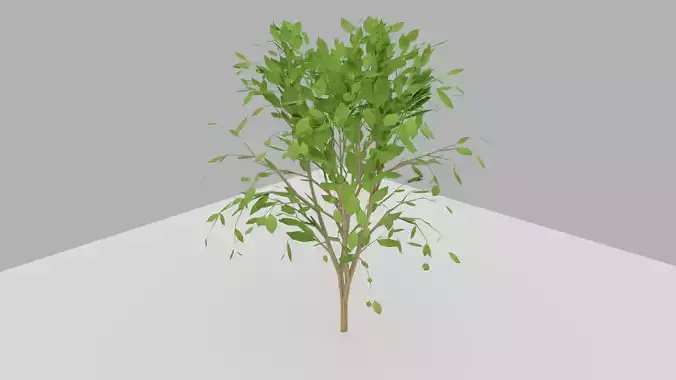 Lowpoly Green Tree