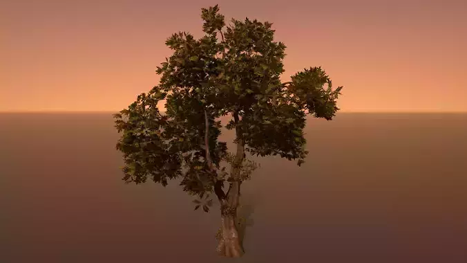 PBR Tree at sunset