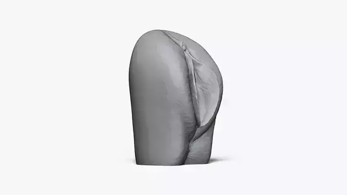 Anatomy of the Vagina for Study 3D print model