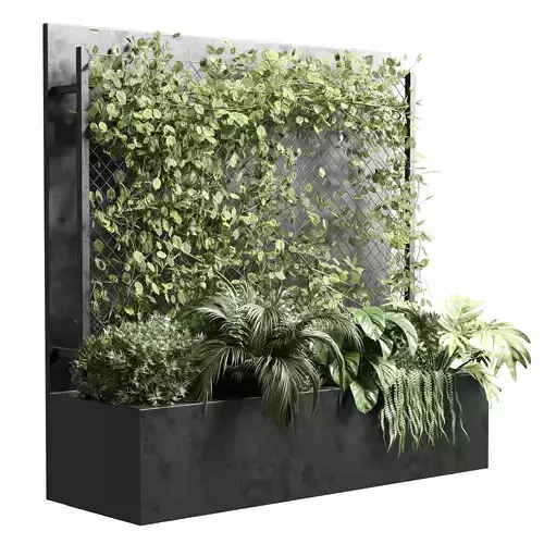 Ivy on Fence fitowall  vertical garden box 01