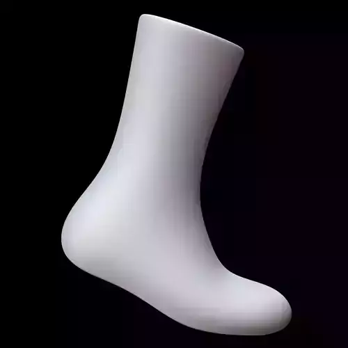 Long Sock