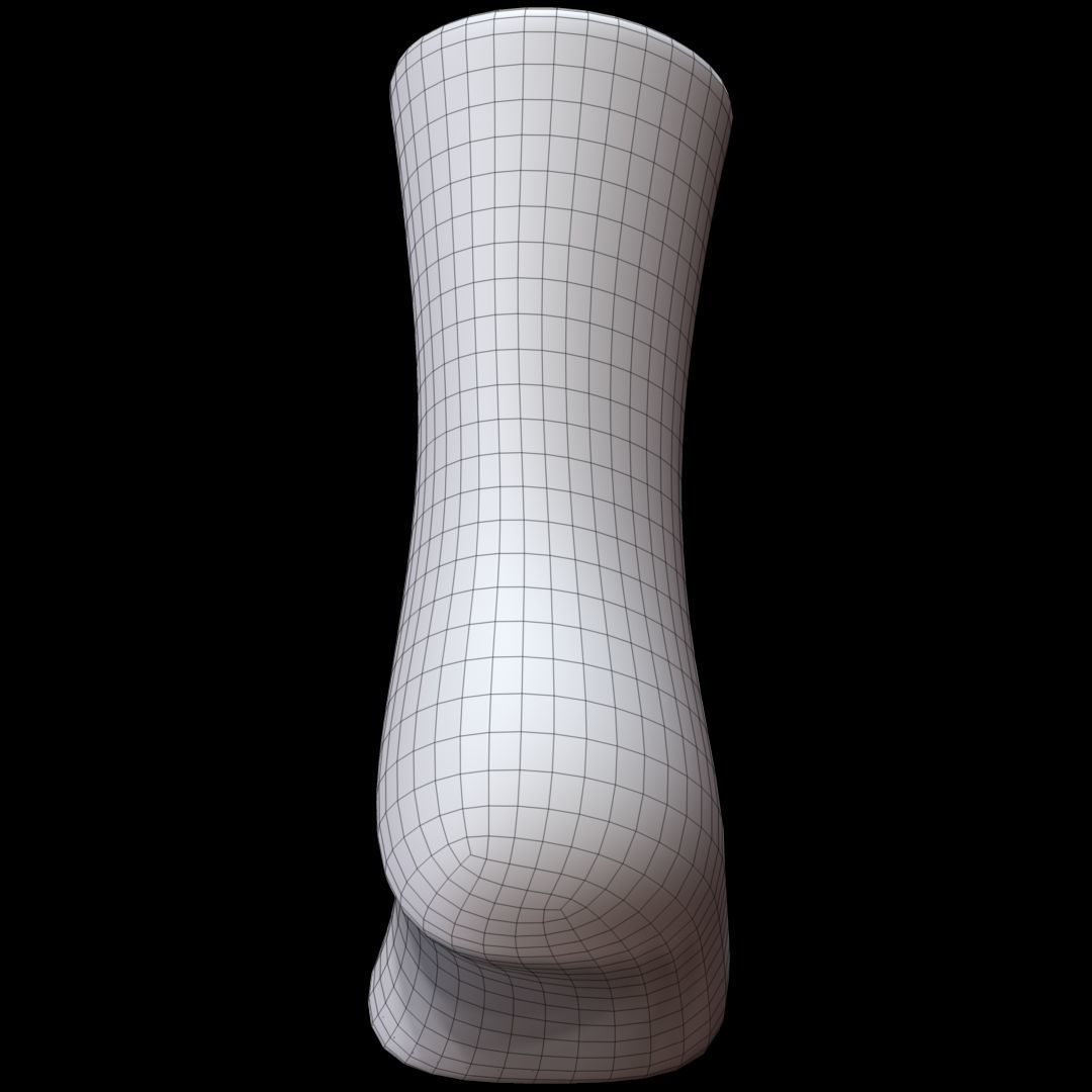 Long Sock 3D model_12