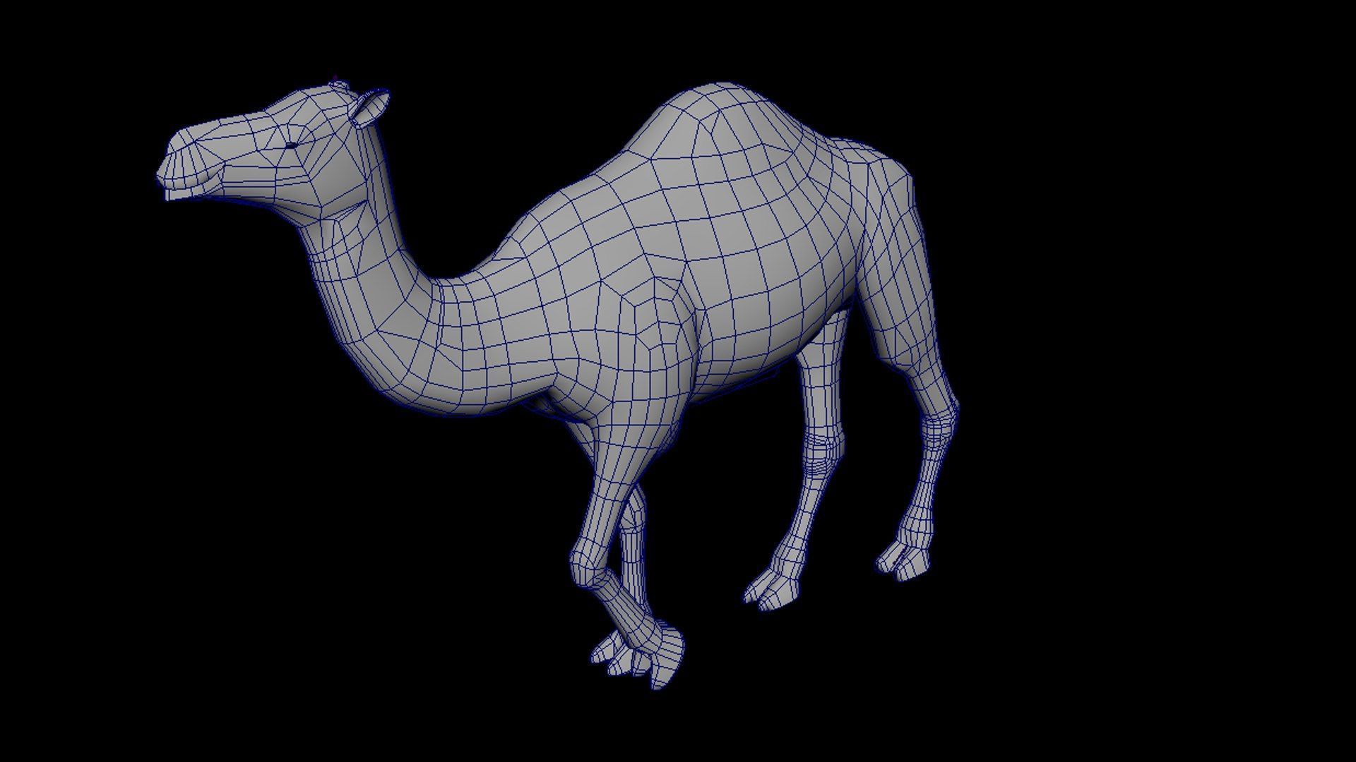Camel 3D Model with Walk Animation - Game-Ready Low-poly 3D model_7