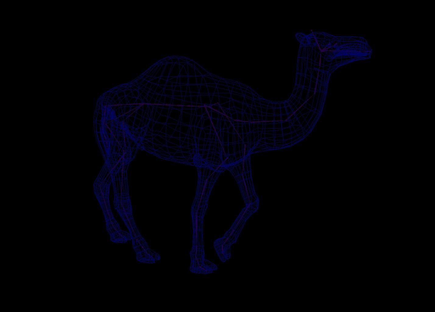 Camel 3D Model with Walk Animation - Game-Ready Low-poly 3D model_4
