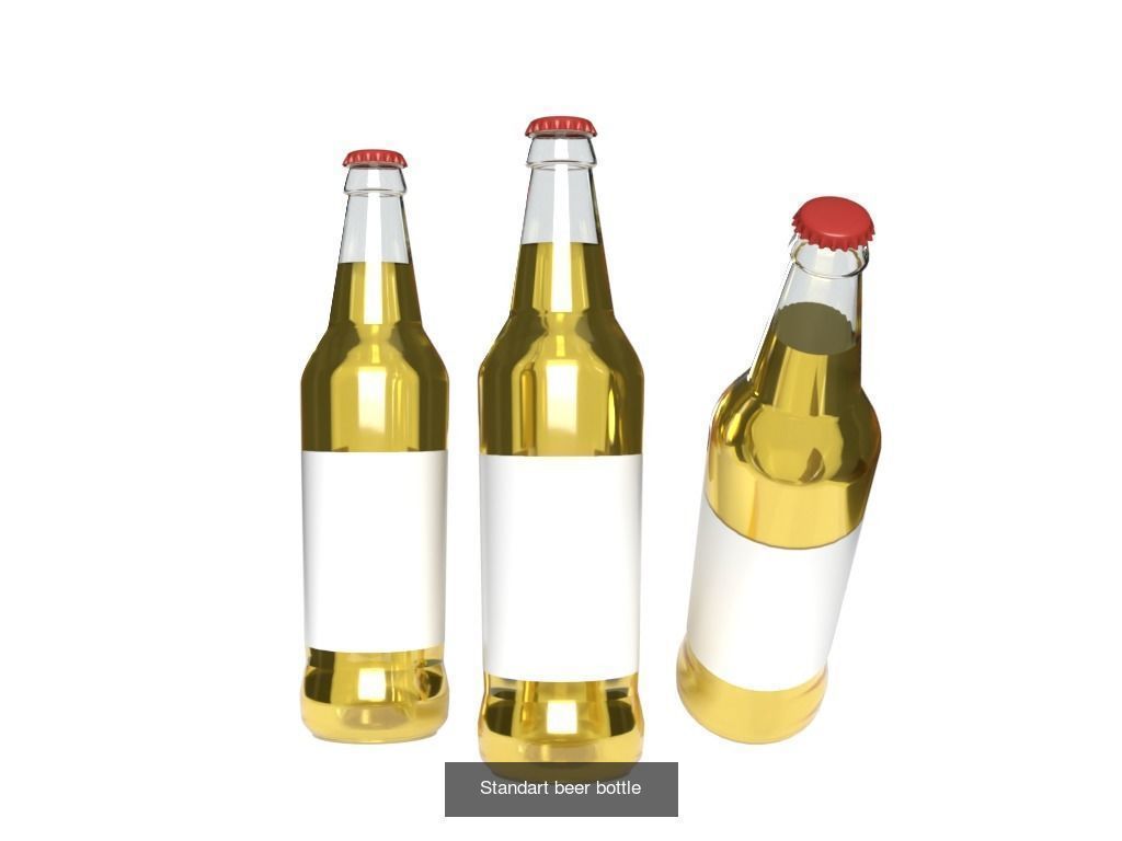 Standart beer bottles 3D Model Collection_2