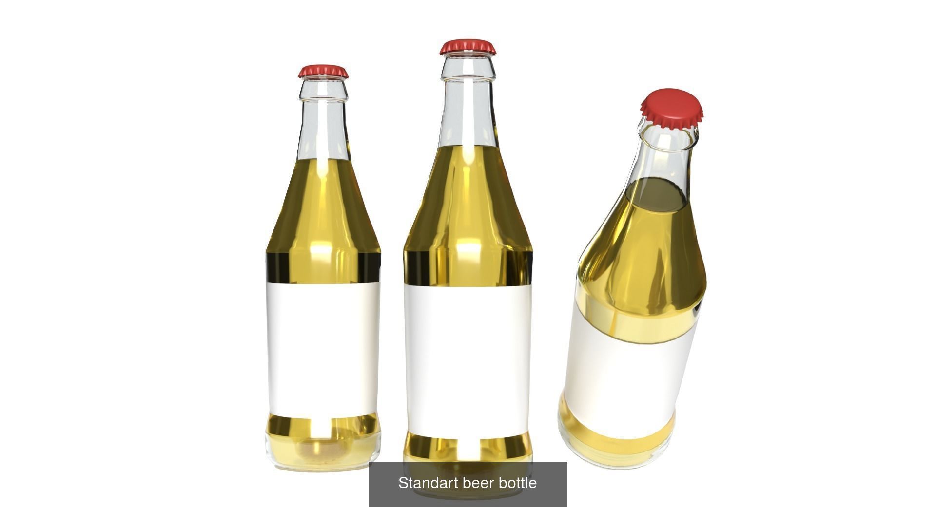 Standart beer bottles 3D Model Collection_4