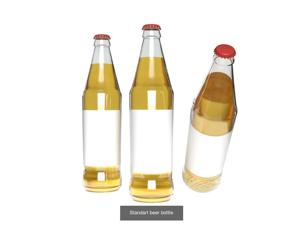 Standart beer bottles 3D Model Collection_1