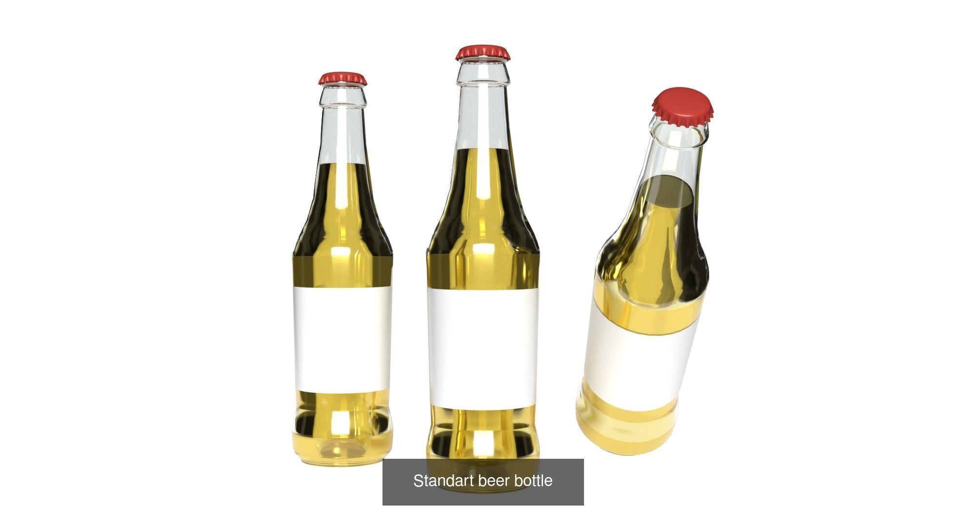 Standart beer bottles 3D Model Collection_3
