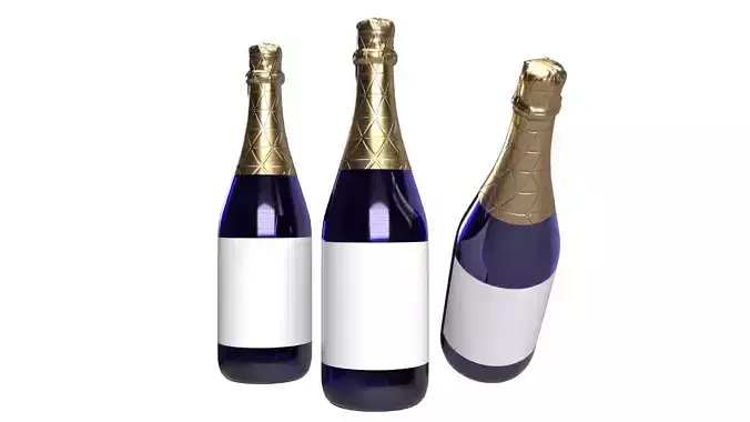 Champagne bottle 