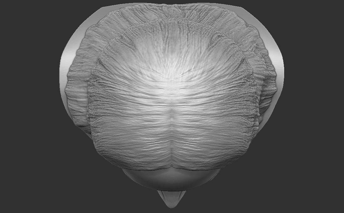 Megan Fox bust for 3D printing 3D print model_25