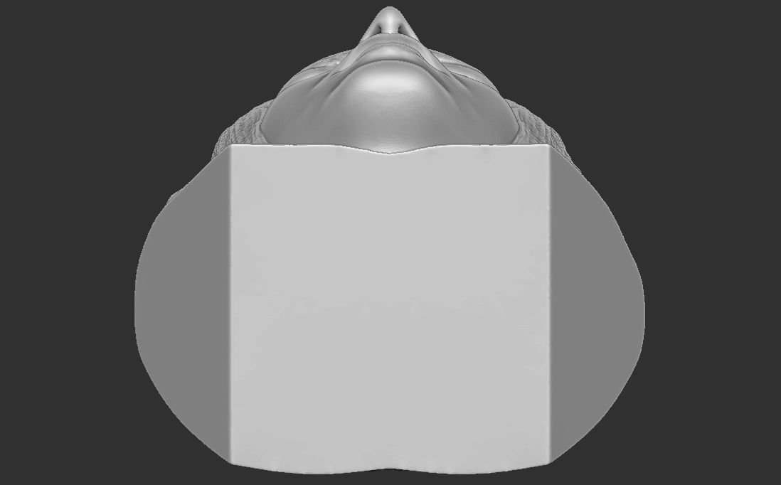 Megan Fox bust for 3D printing 3D print model_26