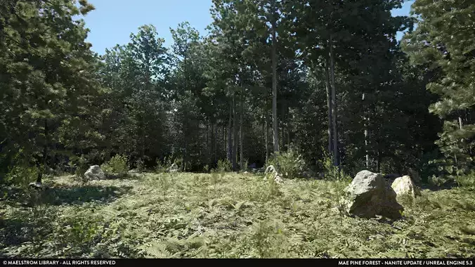 MAE Pine Forest - Unreal Engine
