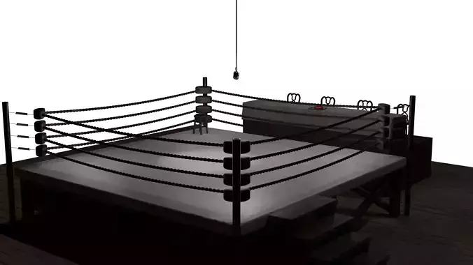 Boxing ring