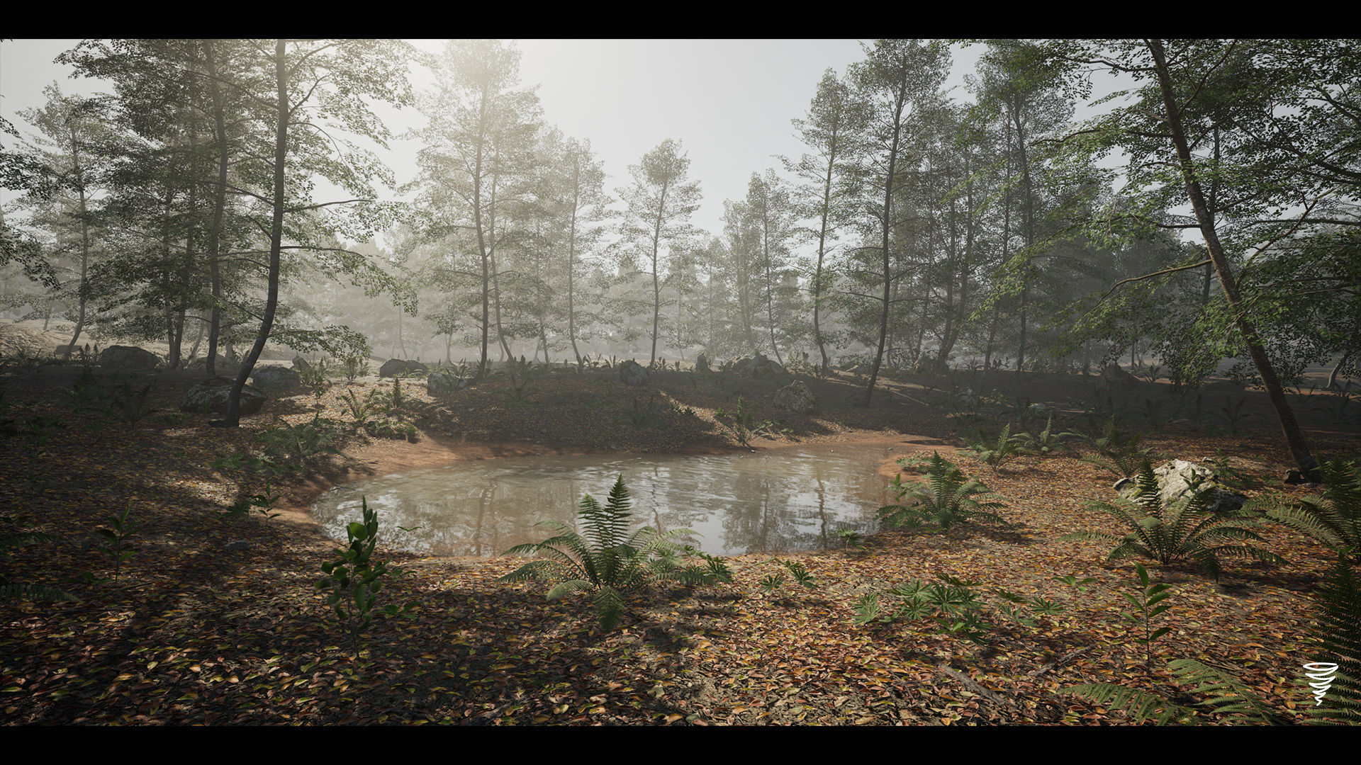 MAE Beech Forest - UE4 and UE5 Low-poly 3D model_3