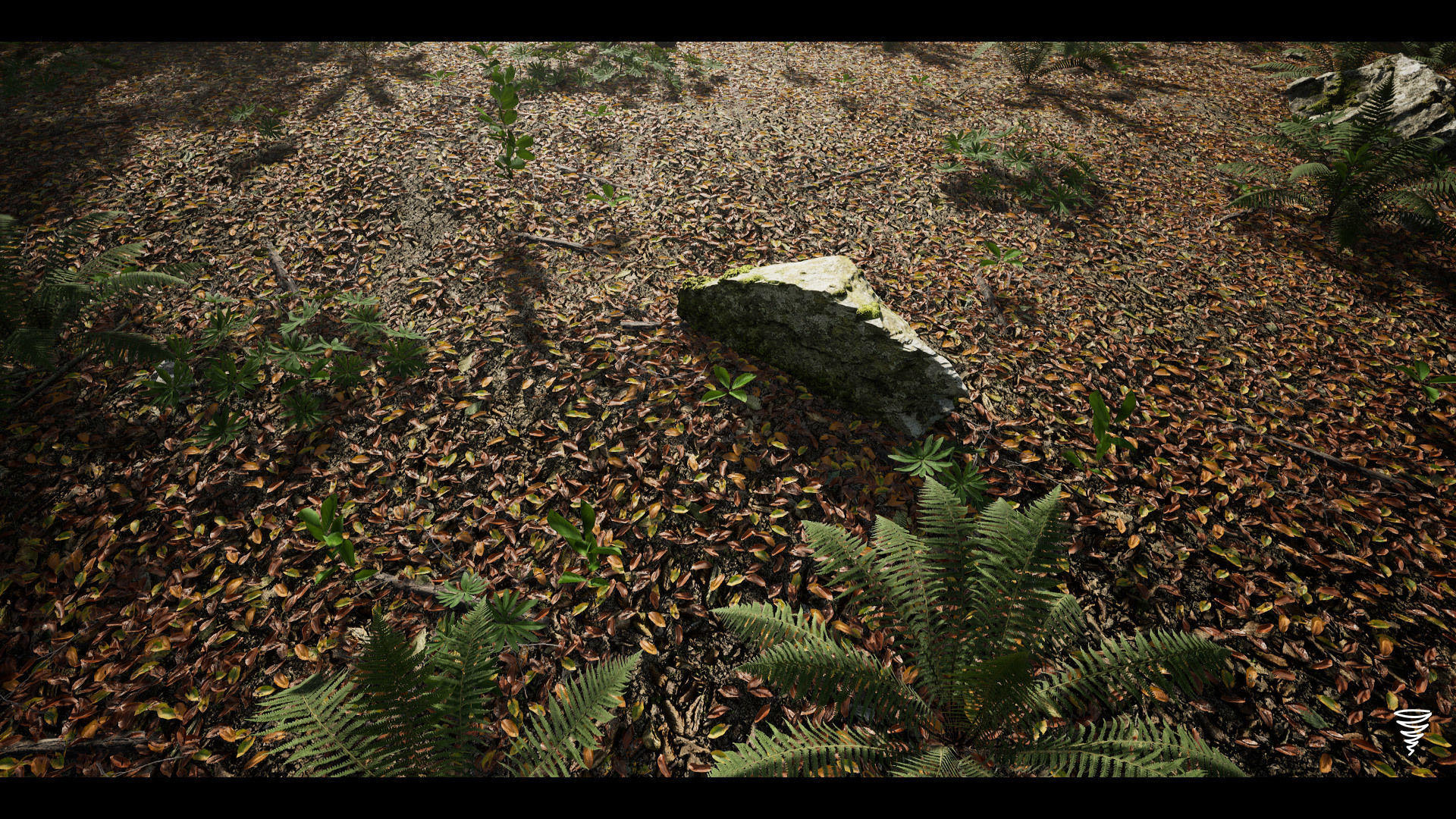 MAE Beech Forest - UE4 and UE5 Low-poly 3D model_5