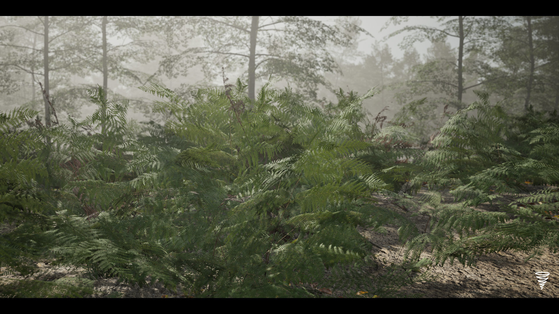 MAE Beech Forest - UE4 and UE5 Low-poly 3D model_11