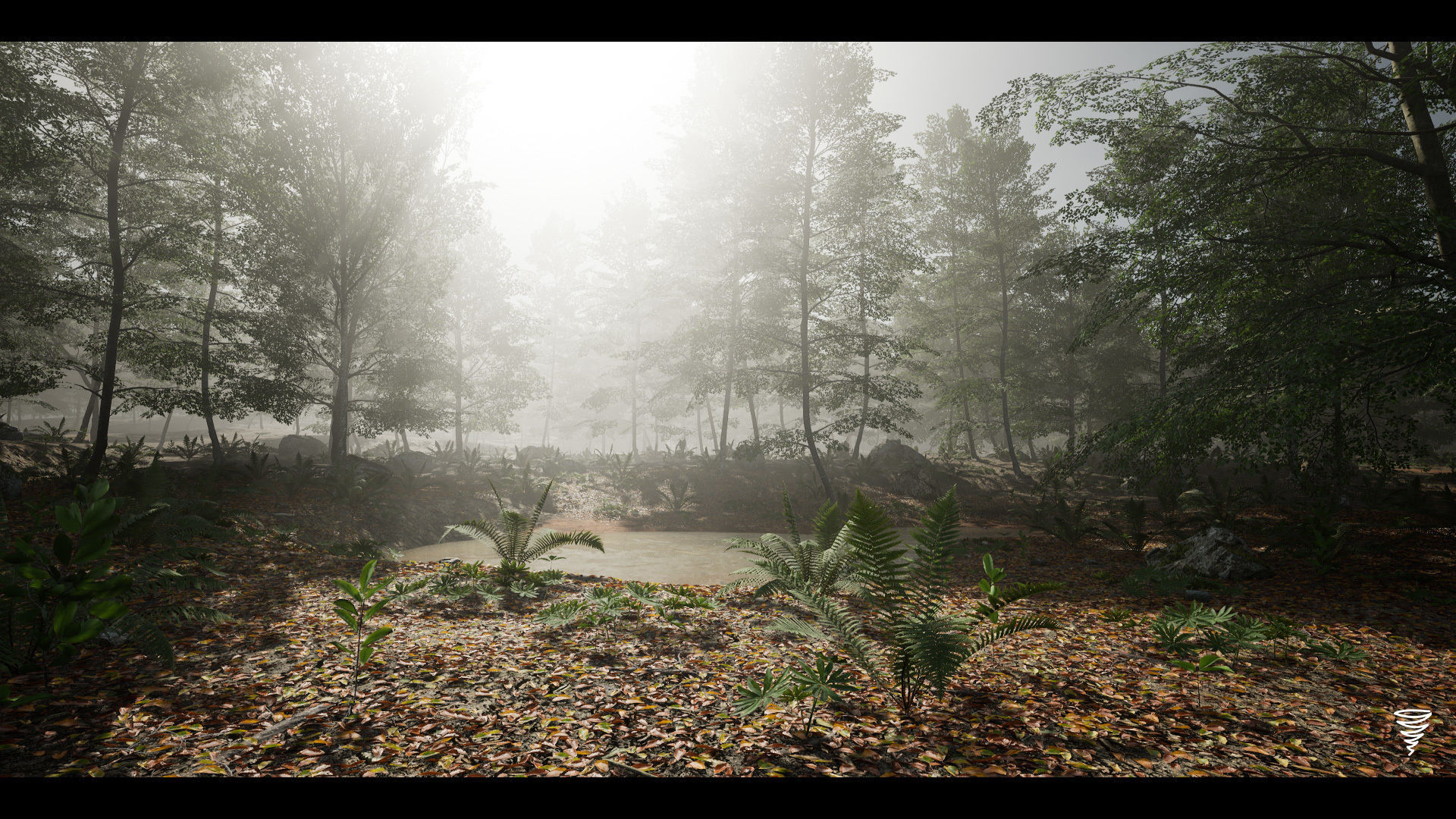 MAE Beech Forest - UE4 and UE5 Low-poly 3D model_4