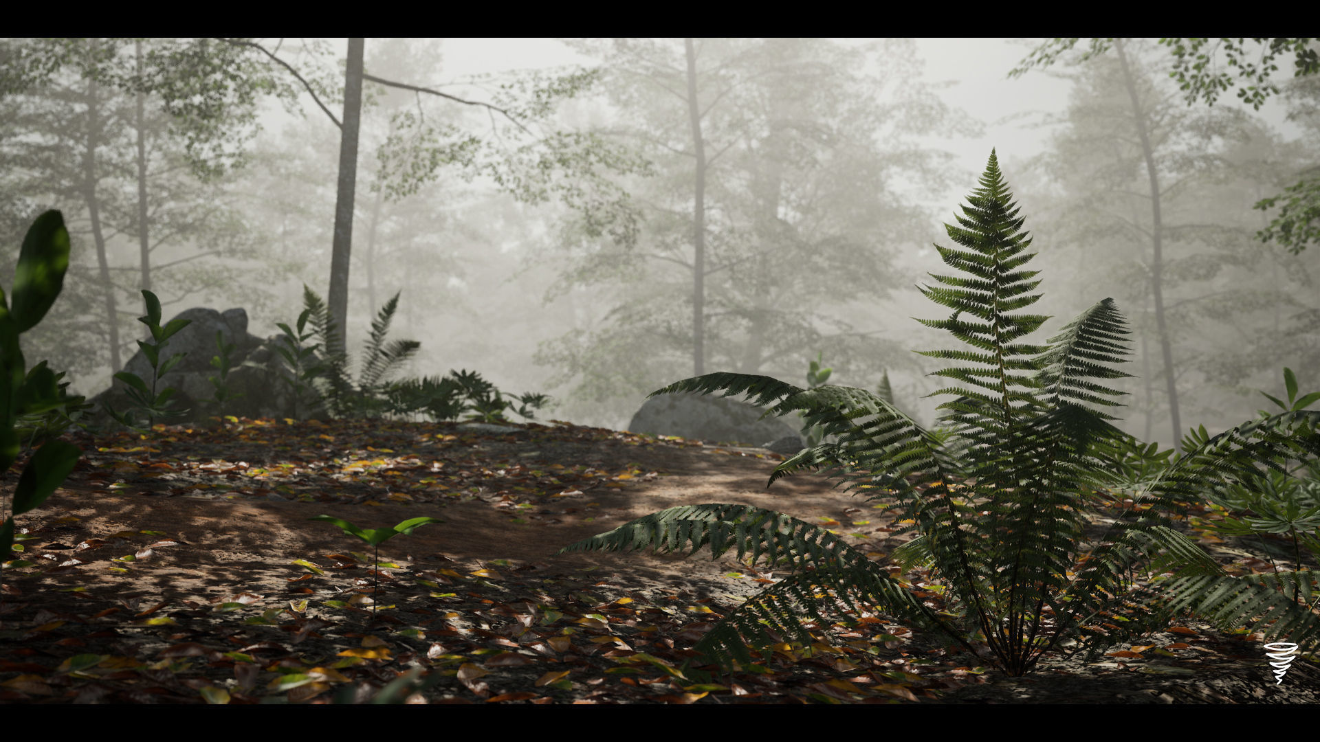 MAE Beech Forest - UE4 and UE5 Low-poly 3D model_6